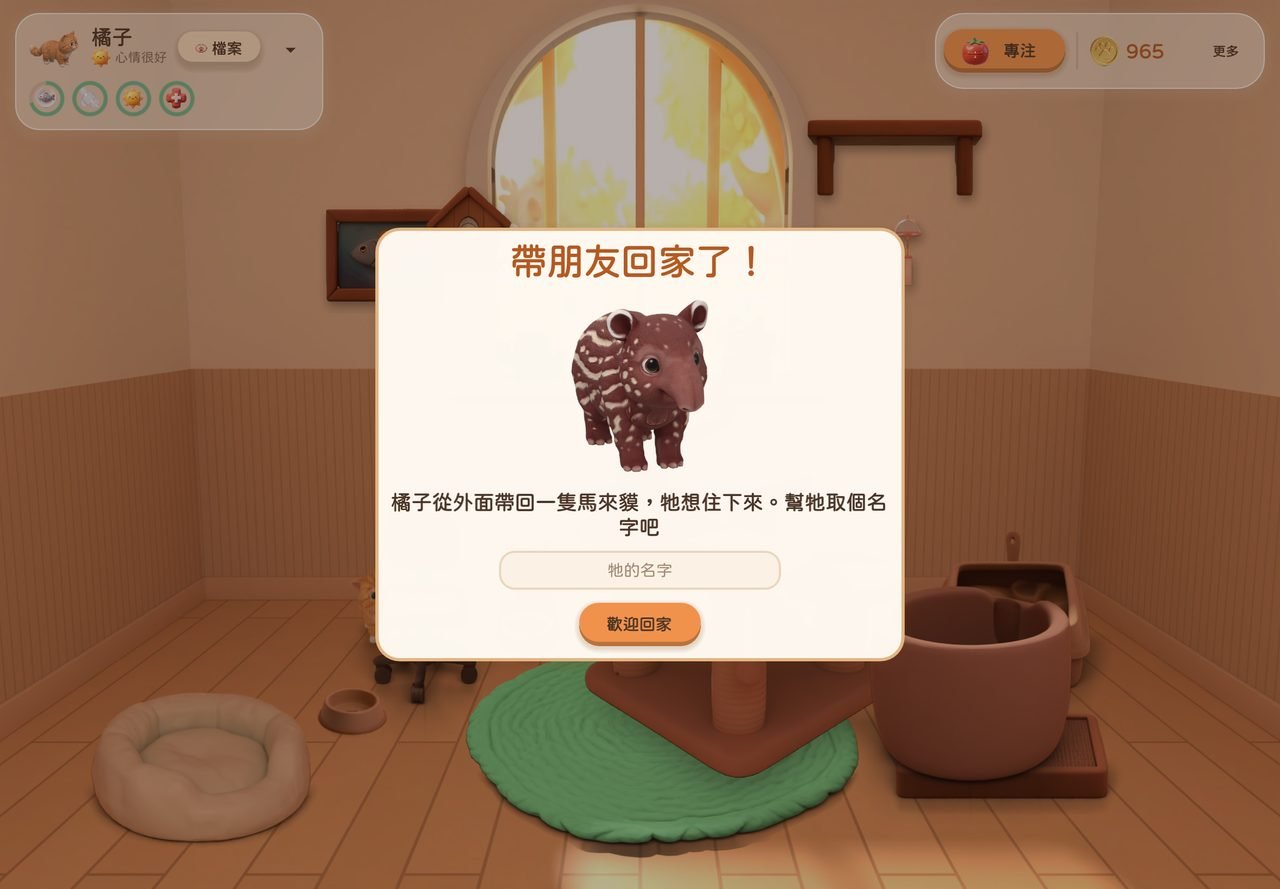 橘貓帶了一隻馬來貘回家